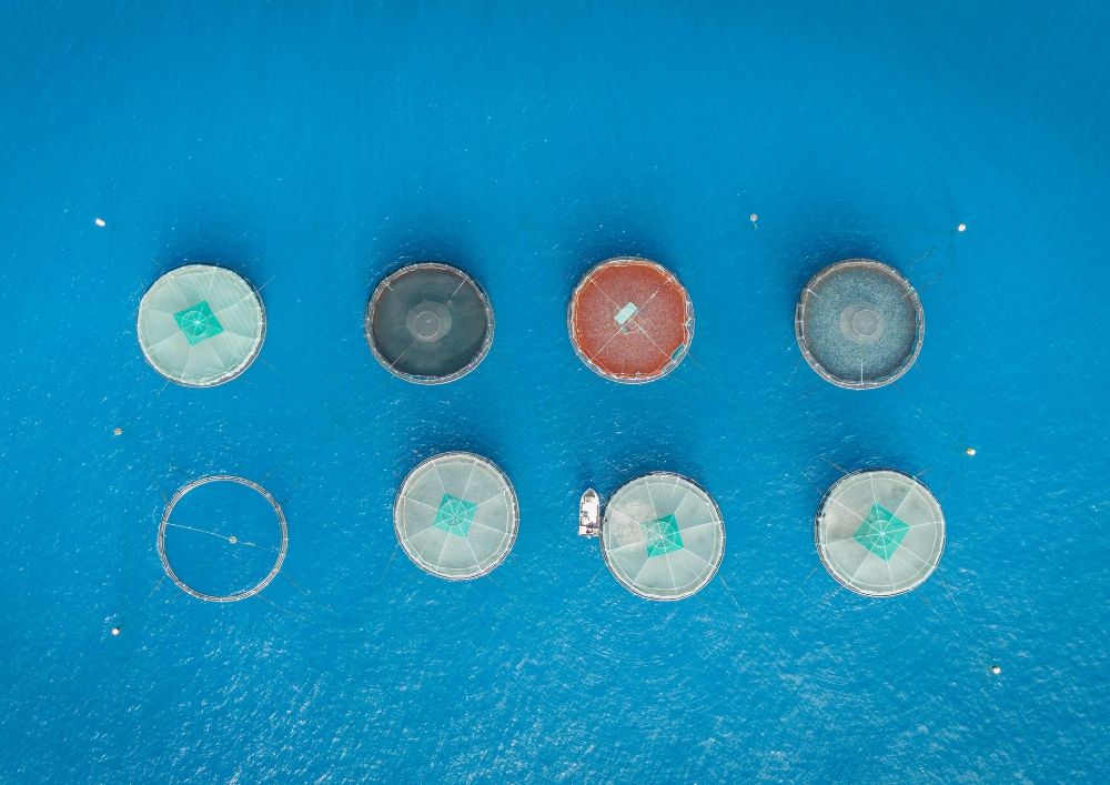 Ha Giang Loop Tour 3D2N (Self-riding)