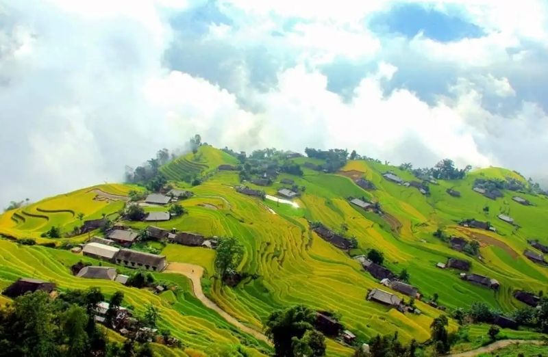 Ban Phung Terraced Fields
