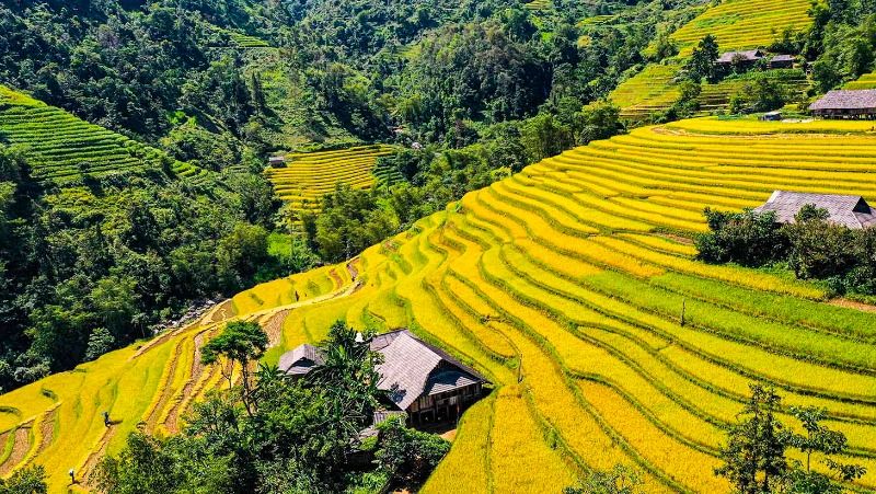 6 Most Breathtaking Terraced Rice Fields in Ha Giang & When to Visit 4 Ban-Luoc-ha-giang