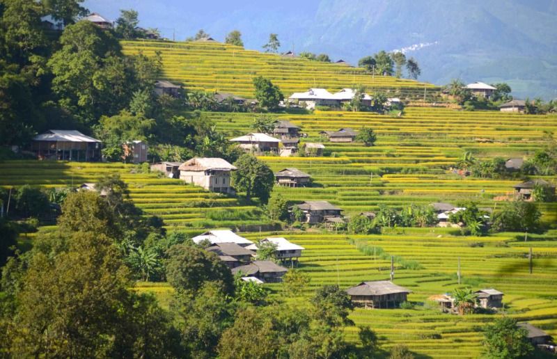 6 Most Breathtaking Terraced Rice Fields in Ha Giang & When to Visit 3 Ban-Phung