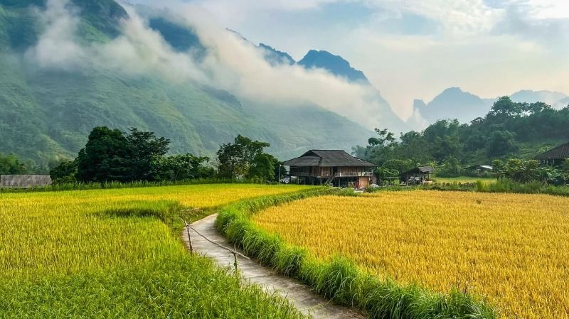 6 Most Breathtaking Terraced Rice Fields in Ha Giang & When to Visit 5 Du-Gia-Rice-Fields