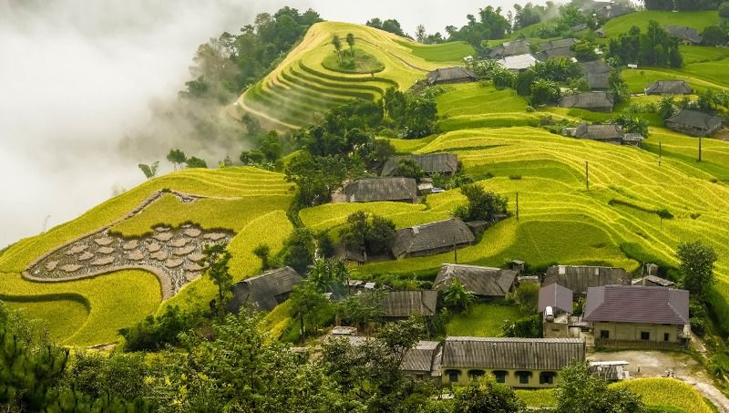 6 Most Breathtaking Terraced Rice Fields in Ha Giang & When to Visit 2 Hoang-Su-Phi-ha-giang