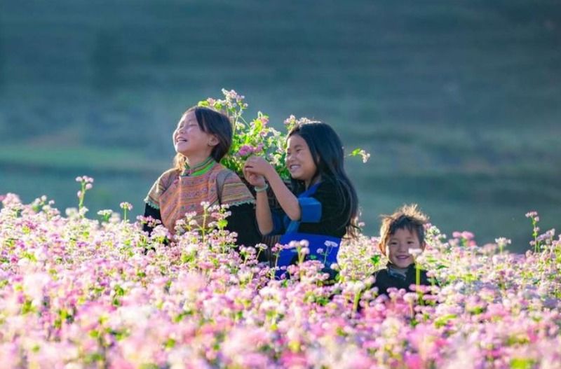 Best time Visit to Ha Giang : Golden Terraces, Buckwheat Blooms 2 Spring-in-ha-giang