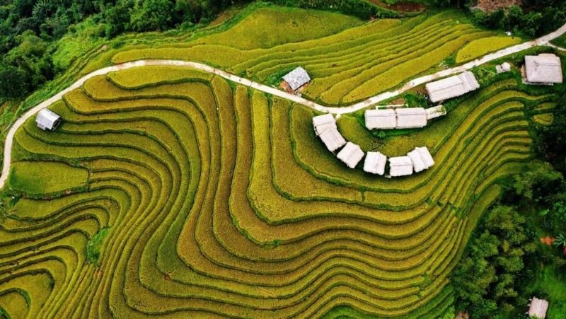 6 Most Breathtaking Terraced Rice Fields in Ha Giang & When to Visit 1 why-is-ha-giang-famous-for-terraced-rice-fields