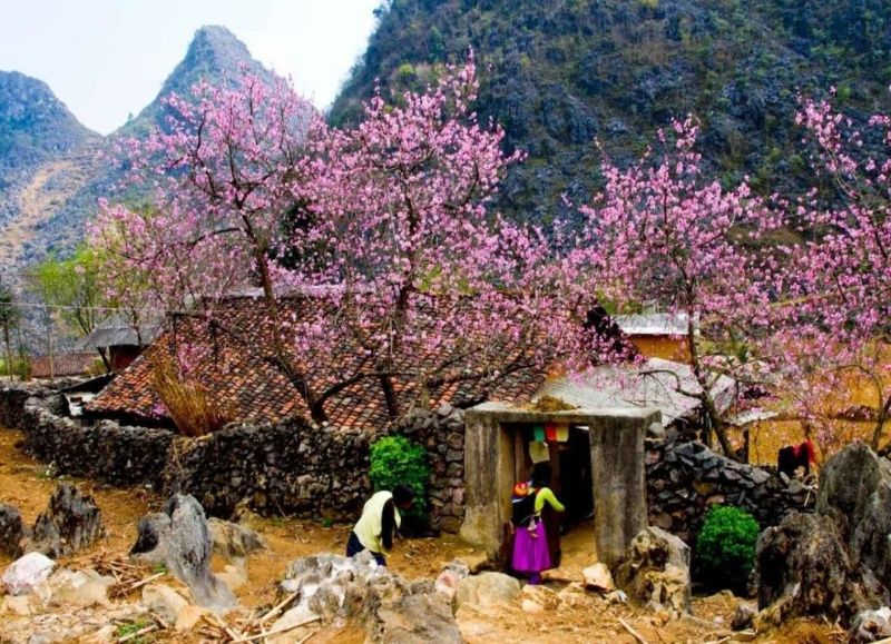 Lo Lo Chai Village the fairy-tale village at VietNam's Northernmost 3 when-is-the-best-time-to-visit-lo-lo-chai-village